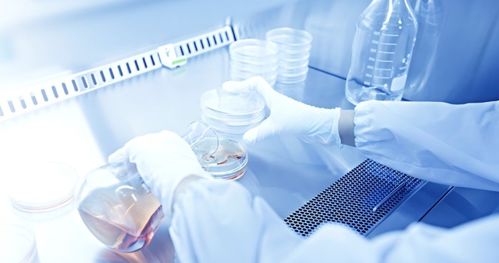 吉雷新材料 以“材”赋能，勇做新材料技术研发领域的创新者